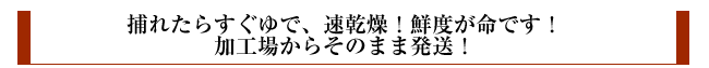 捕れたらすぐ茹、即乾燥！鮮度が命です！