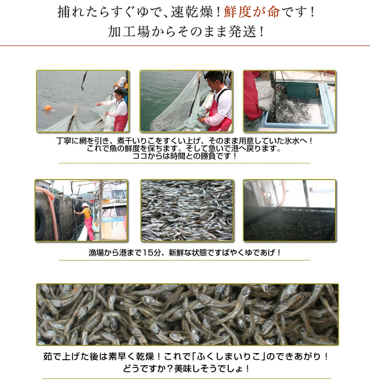 煮干しいりこは鮮度が命